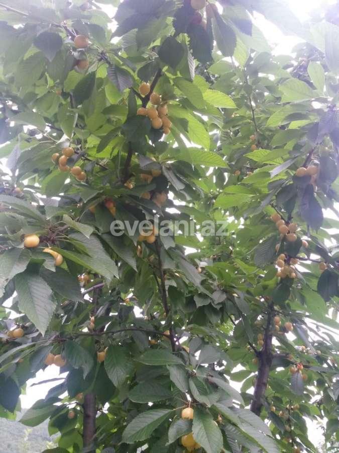 Satılır, həyət evi / bağ, 8 otaqlı, 265 m², Quba