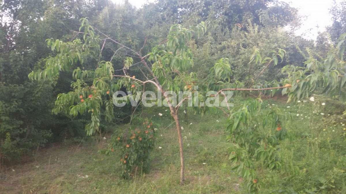 Satılır, həyət evi / bağ, 8 otaqlı, 265 m², Quba