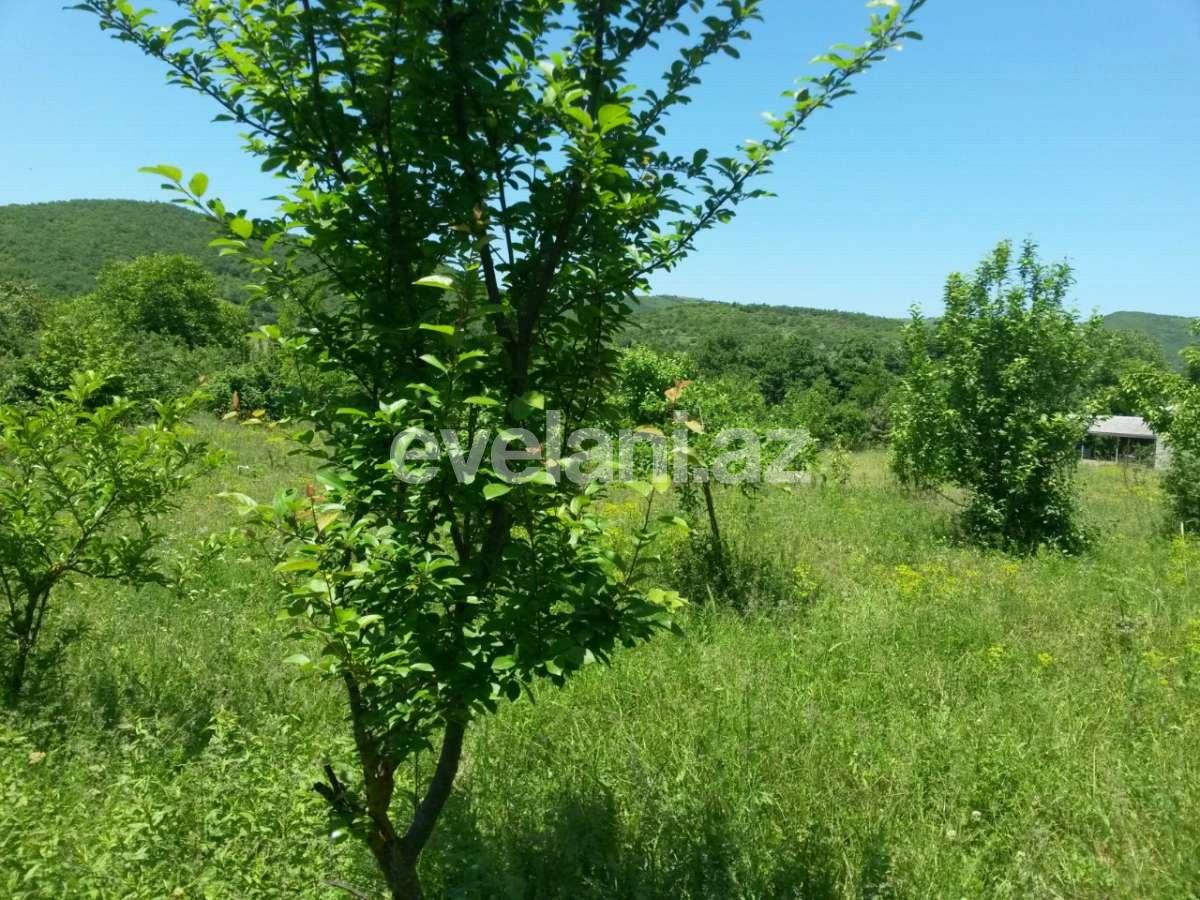 Satılır, həyət evi / bağ, 8 otaqlı, 265 m², Quba