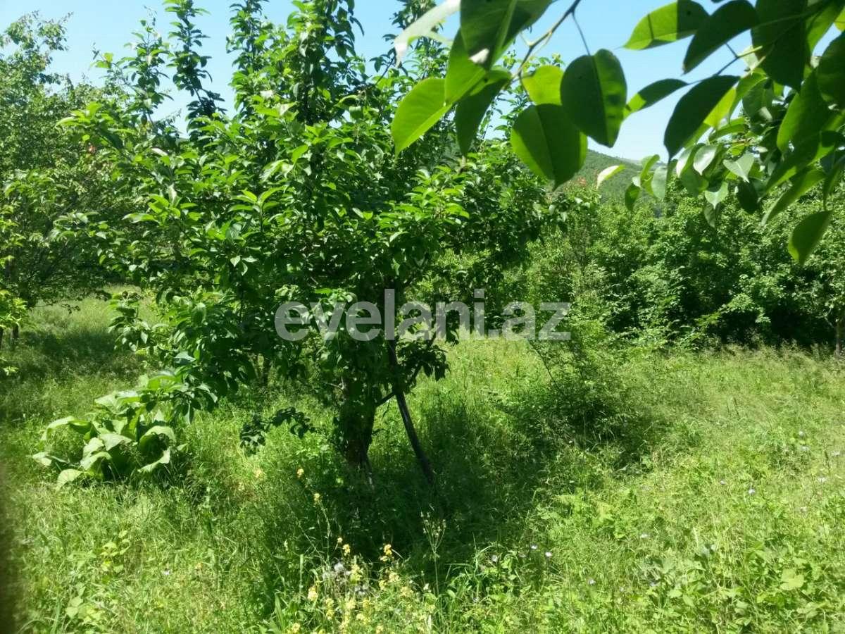 Satılır, həyət evi / bağ, 8 otaqlı, 265 m², Quba