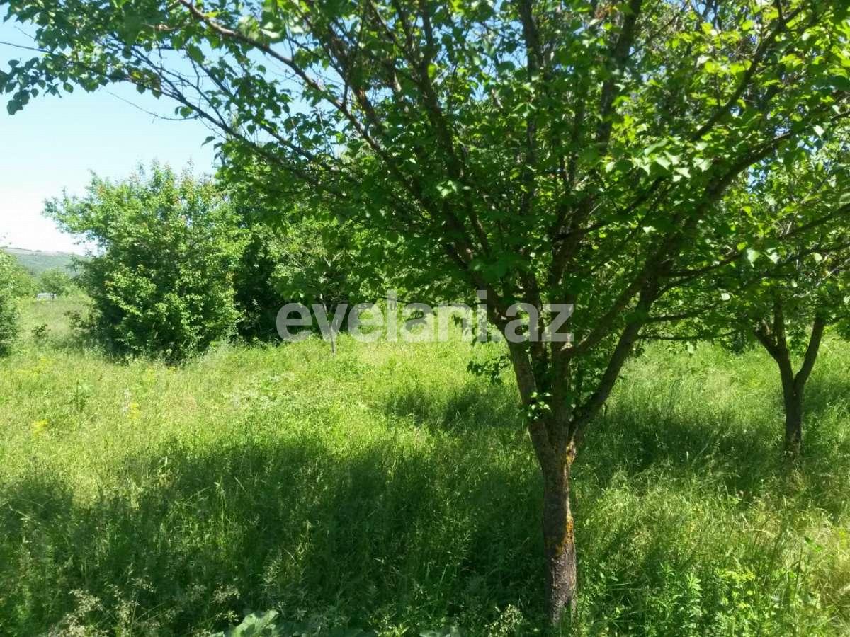 Satılır, həyət evi / bağ, 8 otaqlı, 265 m², Quba