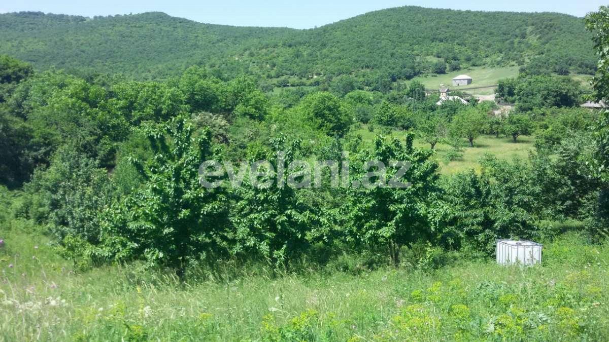 Satılır, həyət evi / bağ, 8 otaqlı, 265 m², Quba