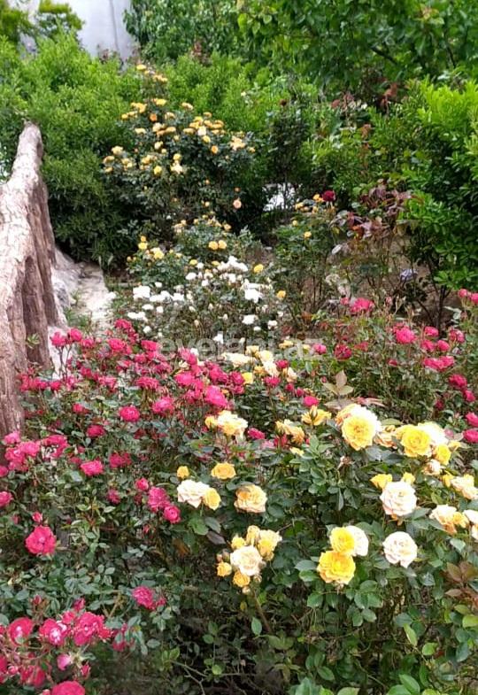 Satılır, həyət evi / bağ, 5 otaqlı, 280 m², Bakı, Xəzər r, Buzovna q.