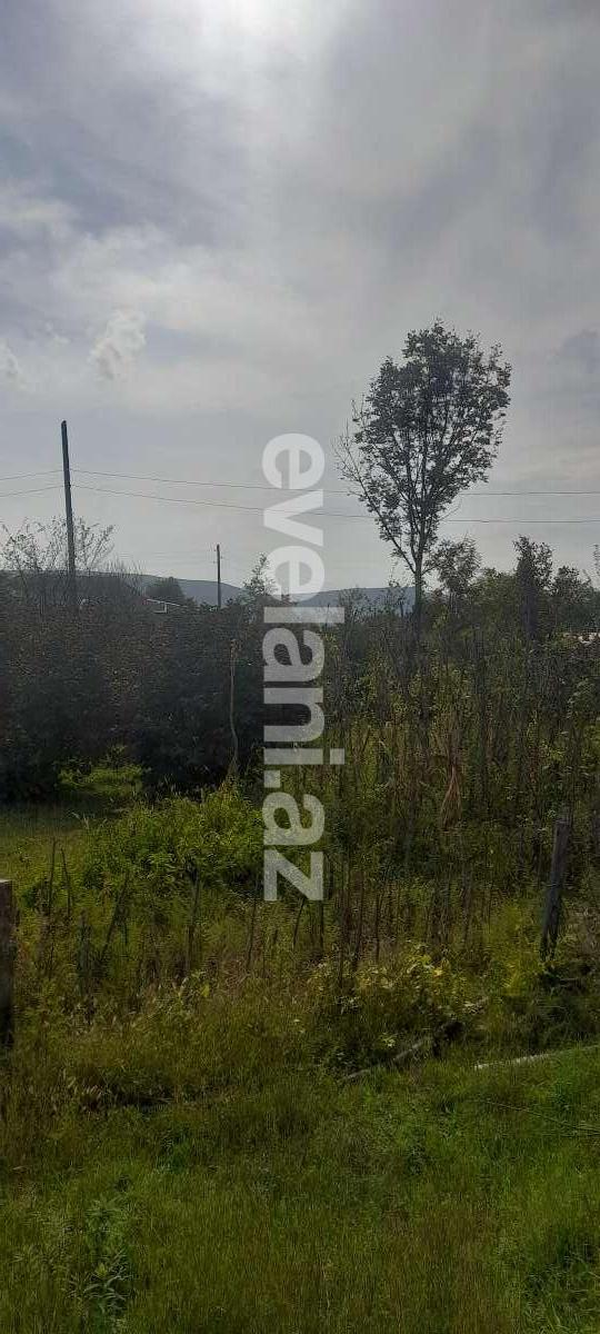 Satılır, torpaq, 12 sot, Qəbələ