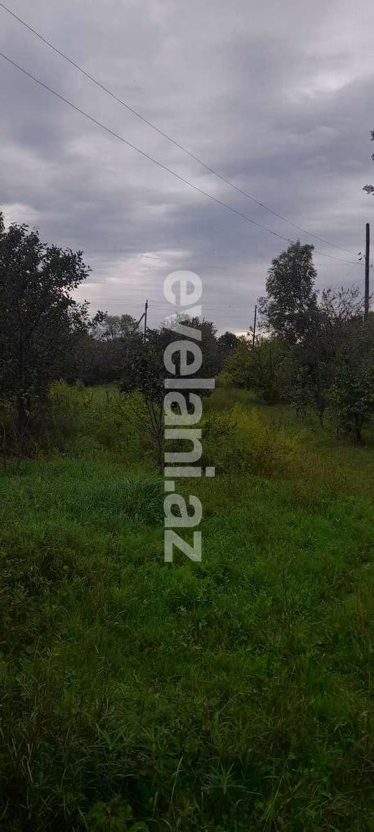 Satılır, torpaq, 12 sot, Qəbələ