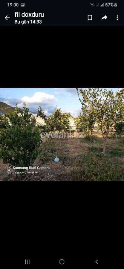 Satılır, həyət evi / bağ, 1 otaqlı, 6 m², Şəki