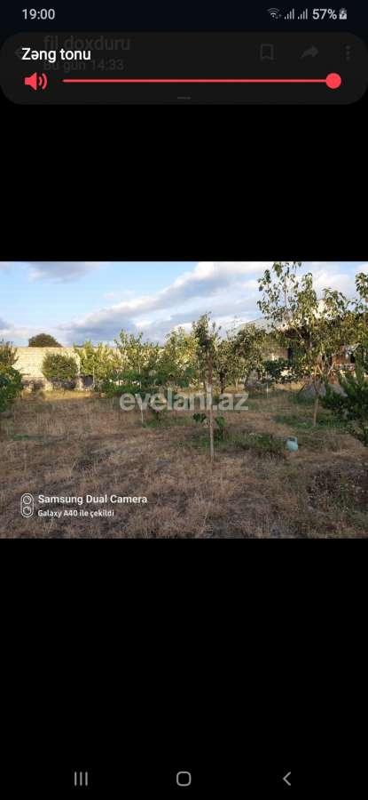 Satılır, həyət evi / bağ, 1 otaqlı, 6 m², Şəki