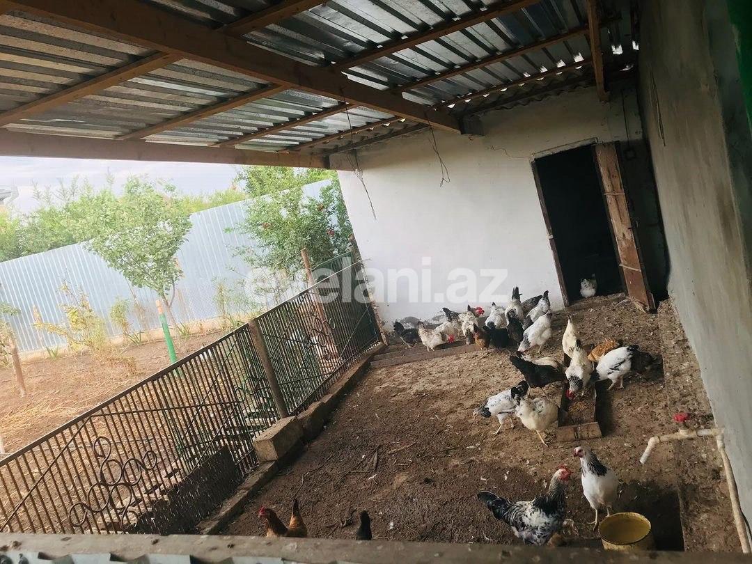 Satılır, həyət evi / bağ, 4 otaqlı, 120 m², Saatlı