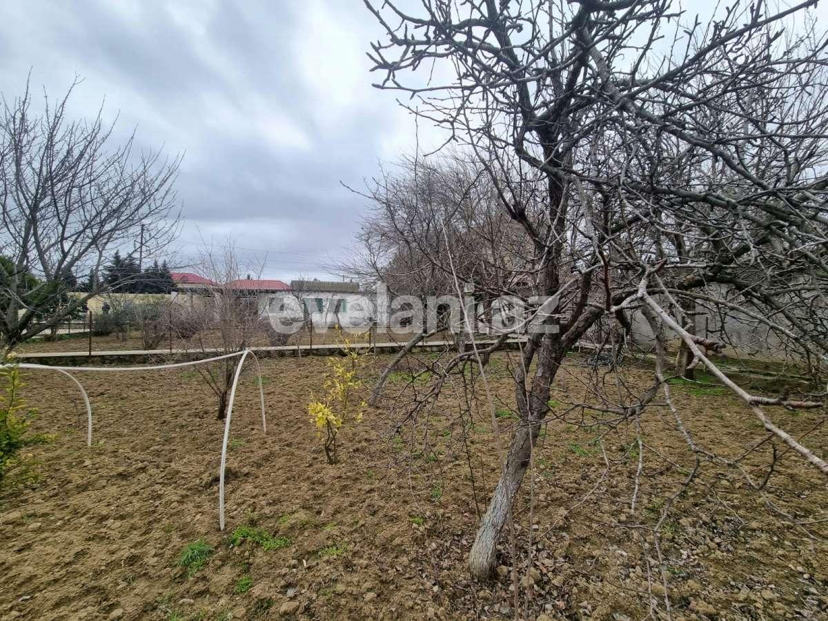 Satılır, torpaq, 11 sot, Bakı, Abşeron r, Novxanı q.