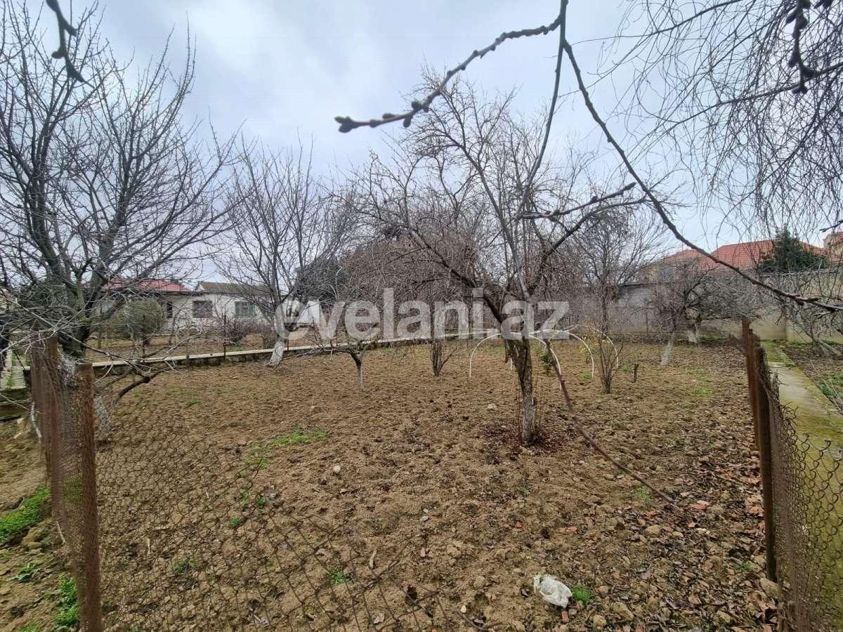 Satılır, torpaq, 11 sot, Bakı, Abşeron r, Novxanı q.