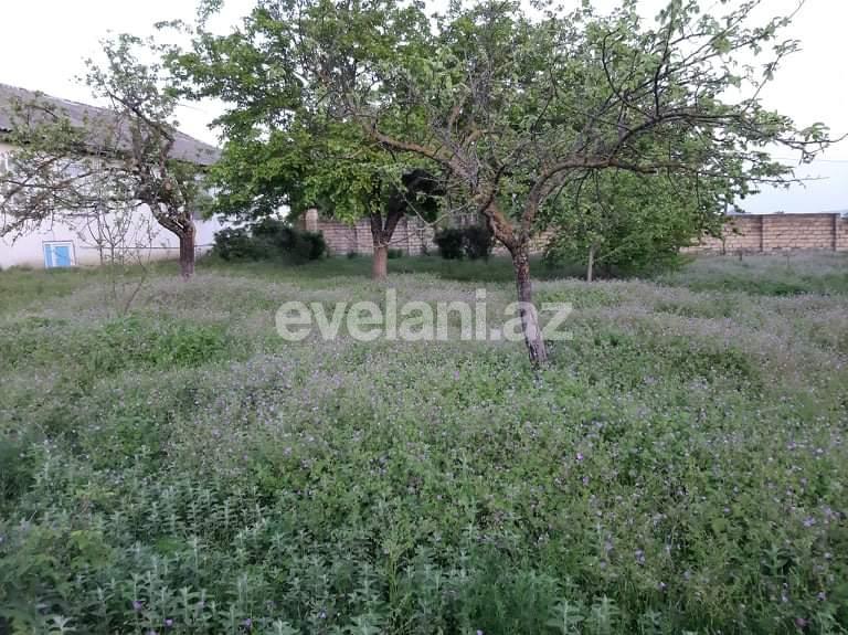 Satılır, həyət evi / bağ, 5 otaqlı, 180 m², İsmayıllı