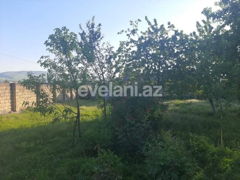Satılır, həyət evi / bağ, 5 otaqlı, 180 m², İsmayıllı