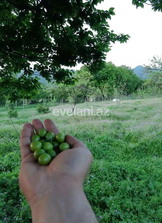 Satılır, həyət evi / bağ, 5 otaqlı, 180 m², İsmayıllı