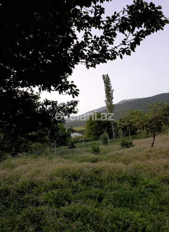 Satılır, həyət evi / bağ, 5 otaqlı, 180 m², İsmayıllı