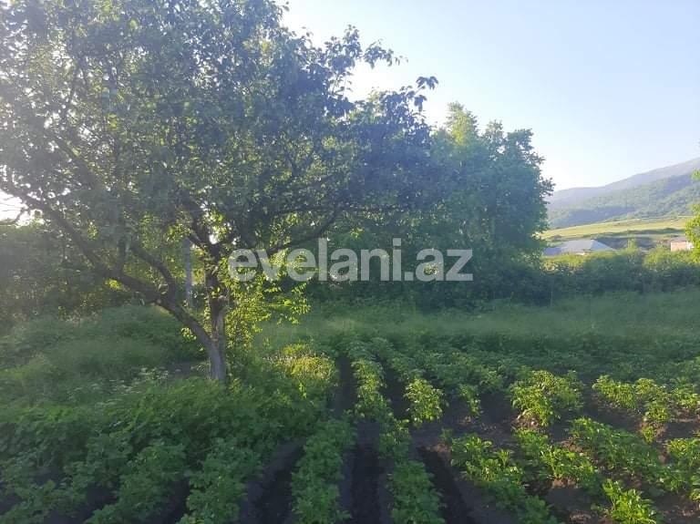 Satılır, həyət evi / bağ, 5 otaqlı, 180 m², İsmayıllı