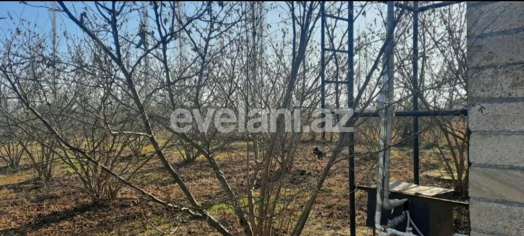 Satılır, həyət evi / bağ, 3 otaqlı, 120 m², Xudat