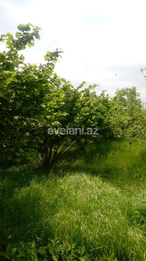 Satılır, həyət evi / bağ, 2 otaqlı, 73 m², Xaçmaz