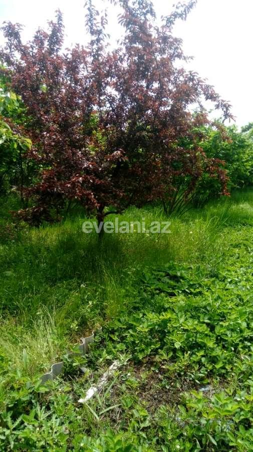 Satılır, həyət evi / bağ, 2 otaqlı, 73 m², Xaçmaz