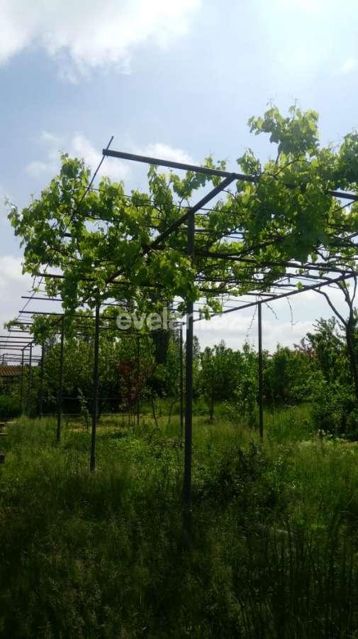 Satılır, həyət evi / bağ, 2 otaqlı, 73 m², Xaçmaz