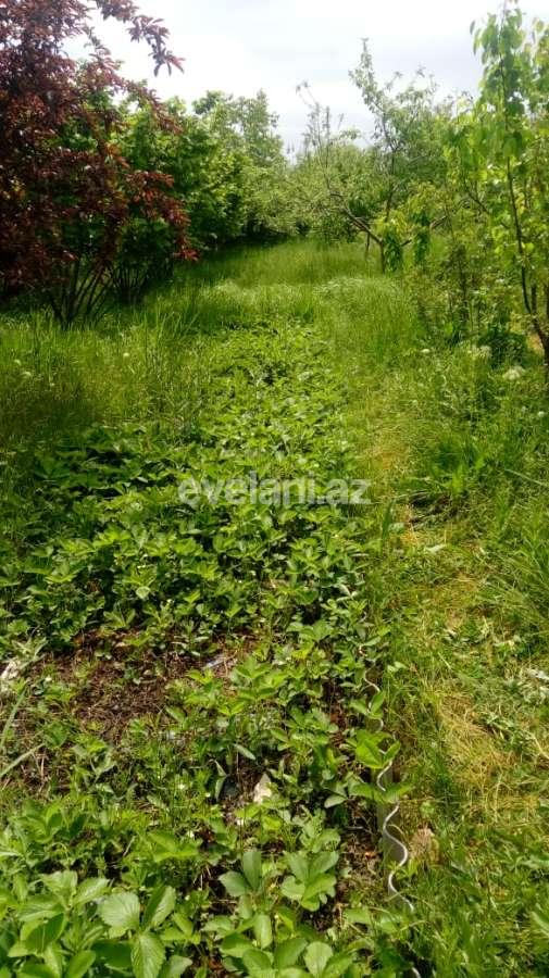 Satılır, həyət evi / bağ, 2 otaqlı, 73 m², Xaçmaz