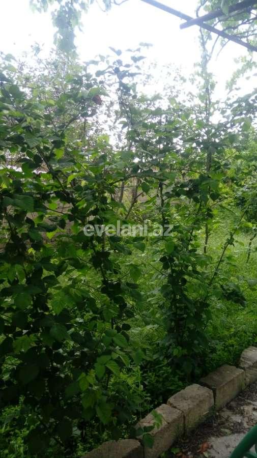 Satılır, həyət evi / bağ, 2 otaqlı, 73 m², Xaçmaz