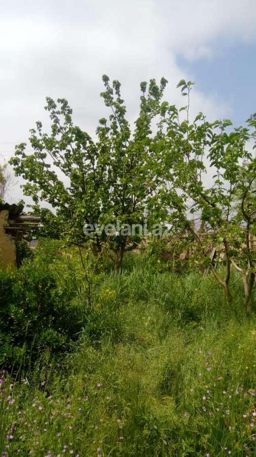 Satılır, həyət evi / bağ, 2 otaqlı, 73 m², Xaçmaz