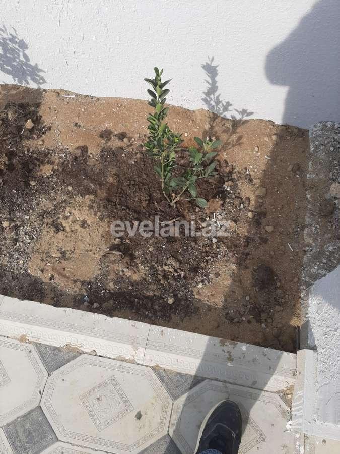 Satılır, həyət evi / bağ, 5 otaqlı, 184 m², Bakı, Abşeron r, Masazır q.