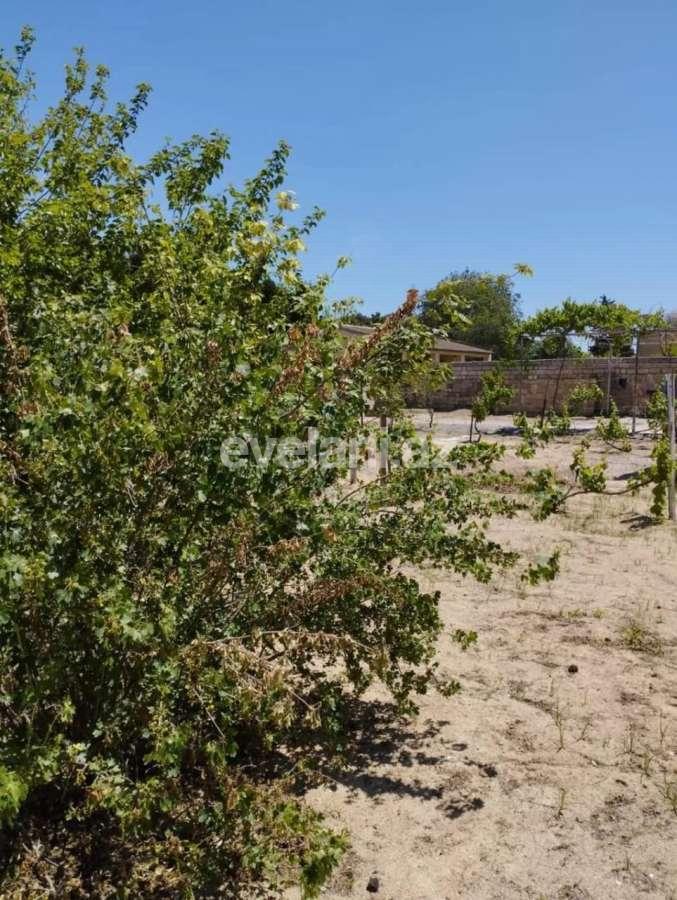 Sale, garden / house, 4 room, 120 m², Baku, Sabunchu r, Pirshagi d.