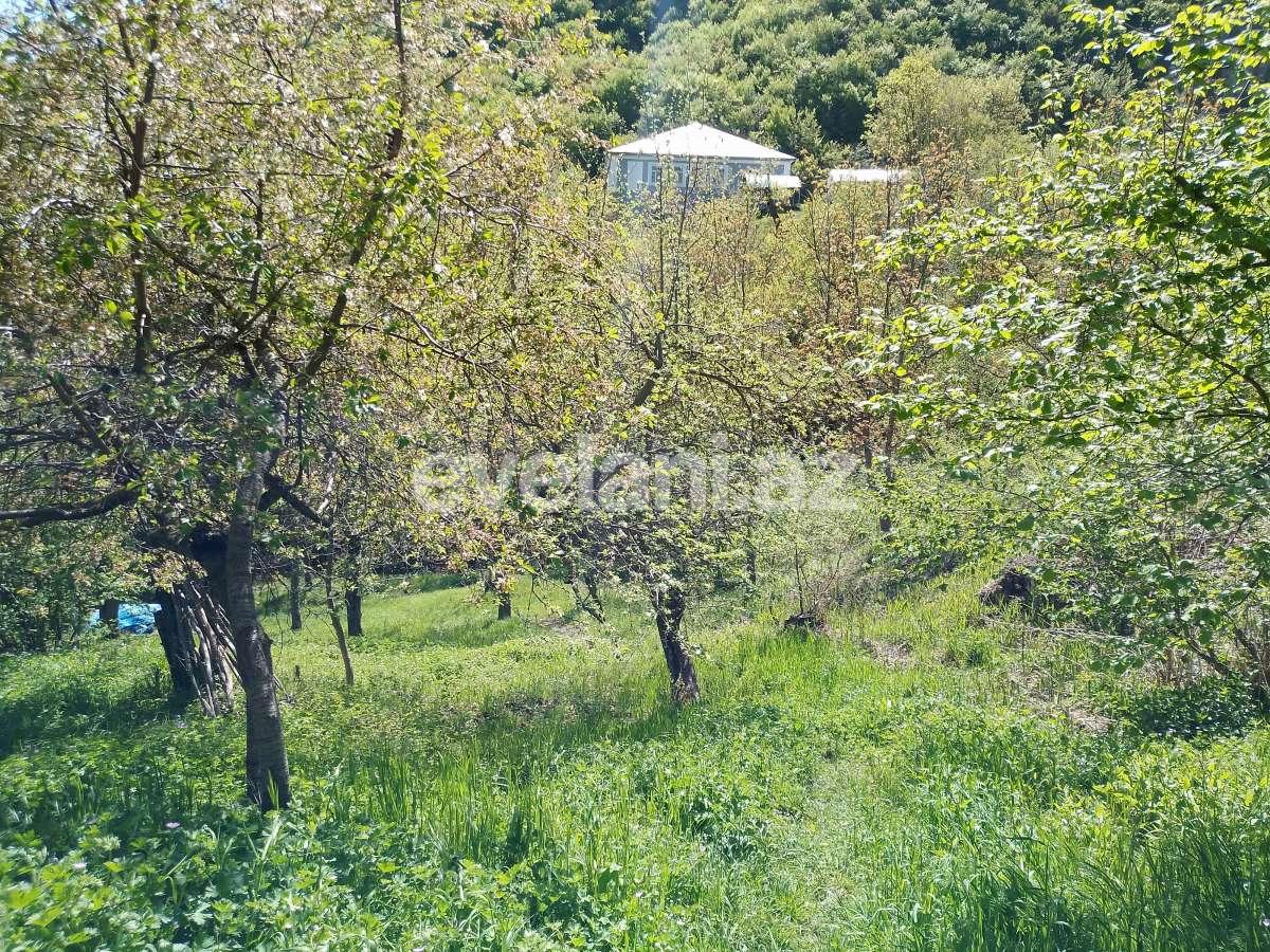 Satılır, həyət evi / bağ, 3 otaqlı, 80 m², İsmayıllı