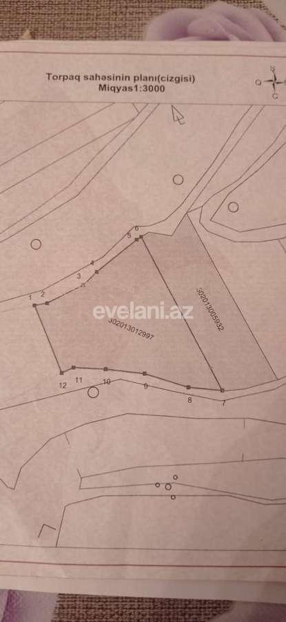 Satılır, torpaq, 351 sot, Xaçmaz