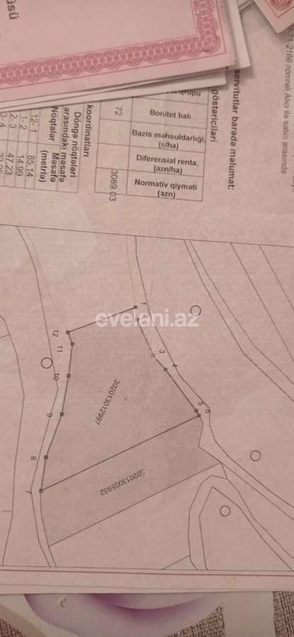 Satılır, torpaq, 351 sot, Xaçmaz