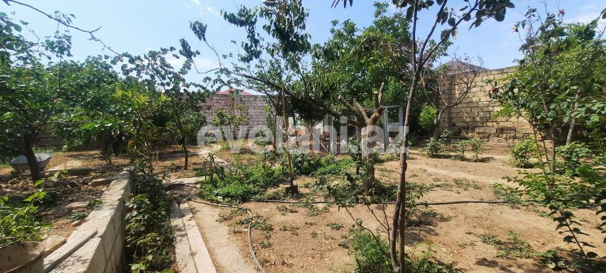 Satılır, həyət evi / bağ, 4 otaqlı, 110 m², Bakı, Abşeron r, Novxanı q.