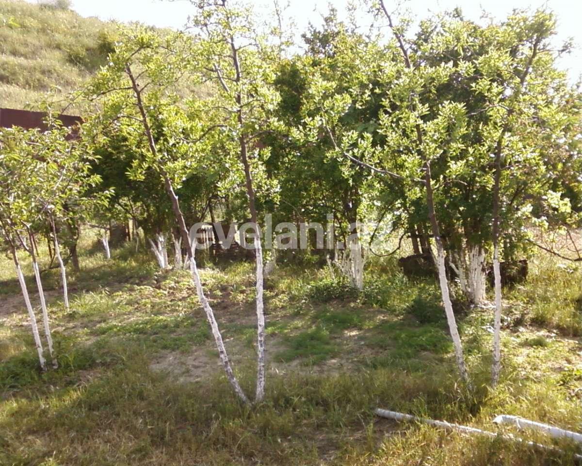 Satılır, həyət evi / bağ, 5 otaqlı, 230 m², Bakı, Abşeron r, Novxanı q.