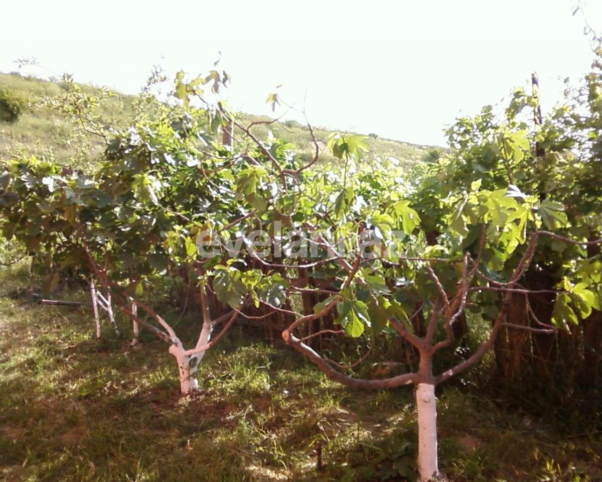 Satılır, həyət evi / bağ, 5 otaqlı, 230 m², Bakı, Abşeron r, Novxanı q.