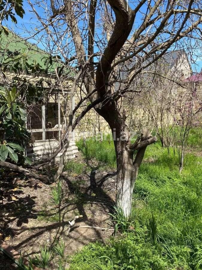 Satılır, həyət evi / bağ, 1 otaqlı, 600 m², Sumqayıt, BTZ bağları r.