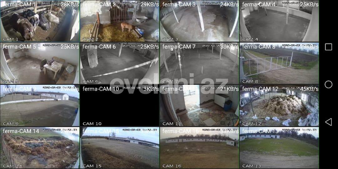 Satılır, obyekt, 4200 m², Xaçmaz