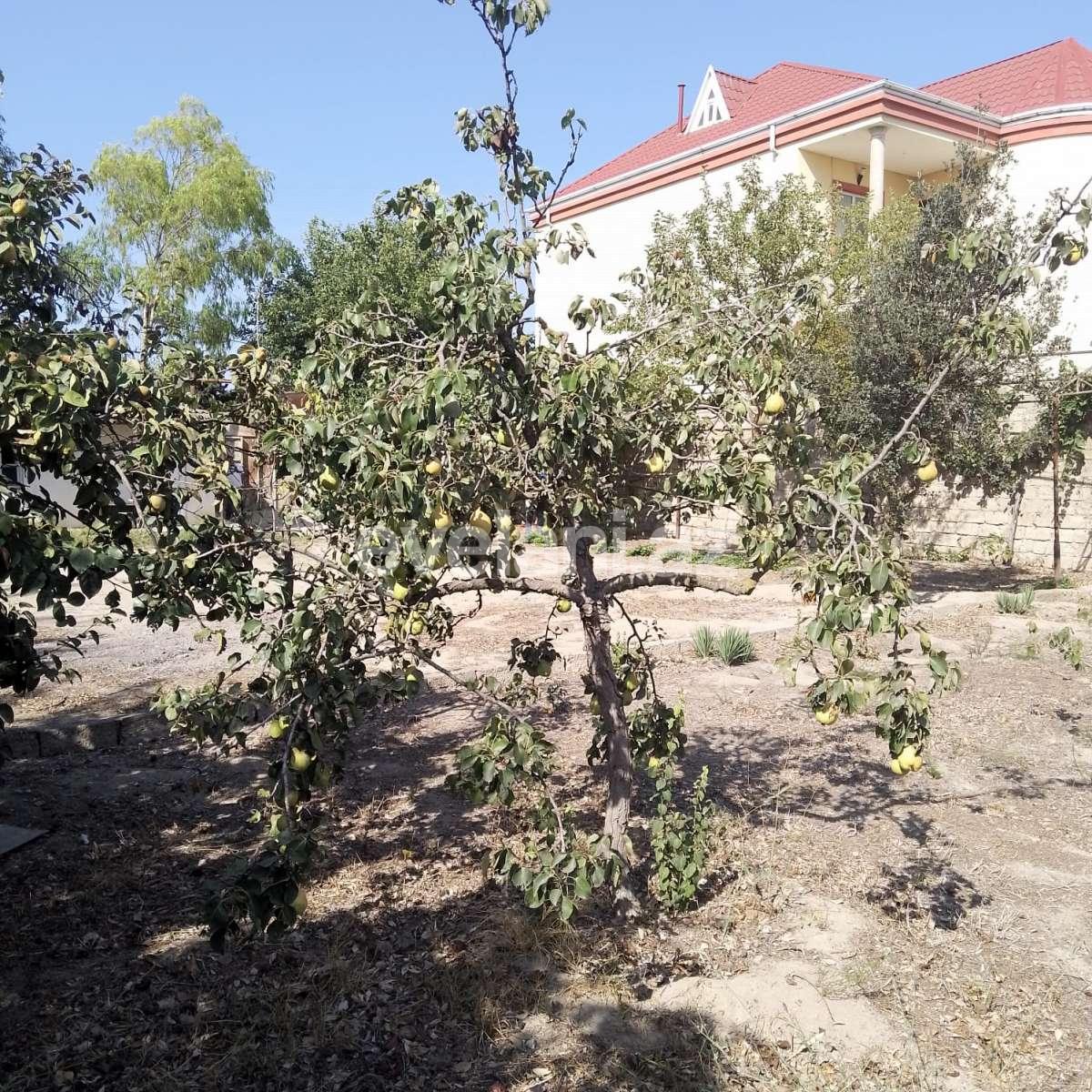 Satılır, torpaq, 10 sot, Bakı, Xəzər r, Buzovna q.