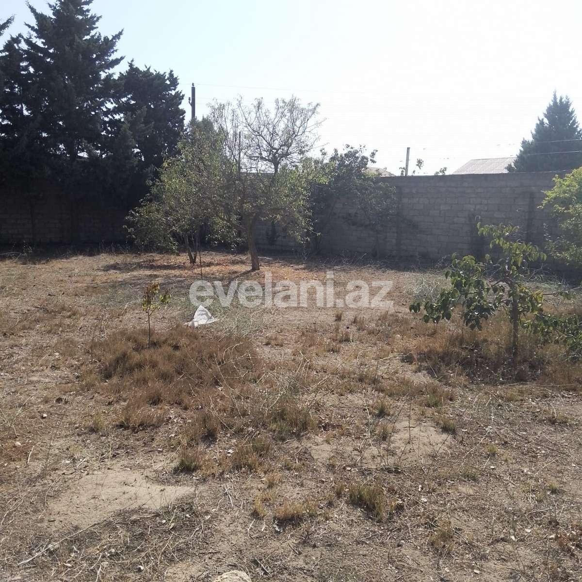 Satılır, torpaq, 10 sot, Bakı, Xəzər r, Buzovna q.