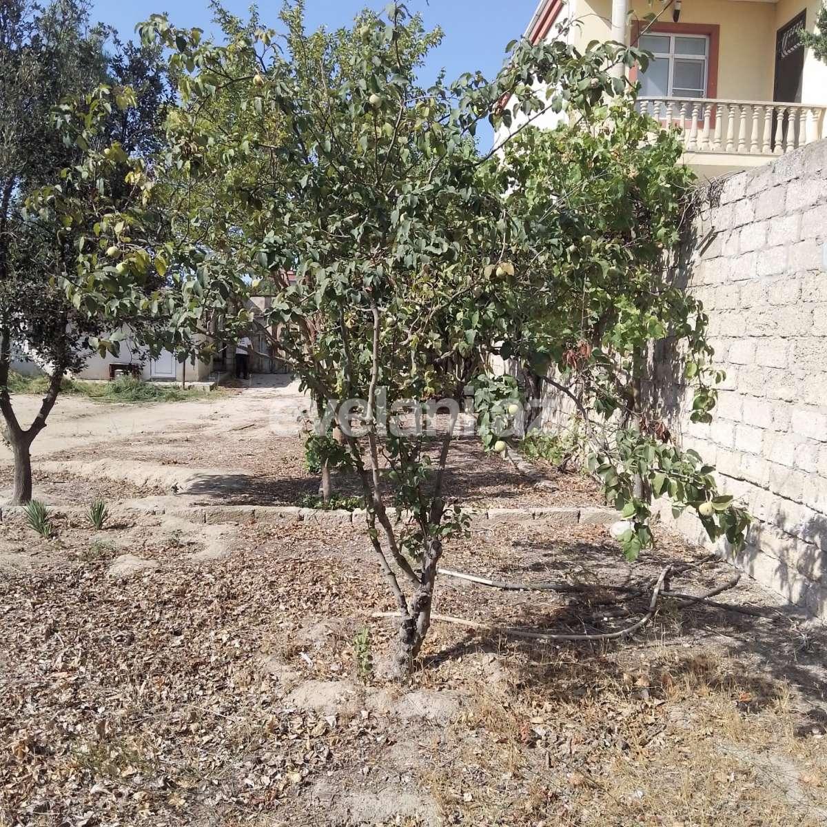 Satılır, torpaq, 10 sot, Bakı, Xəzər r, Buzovna q.