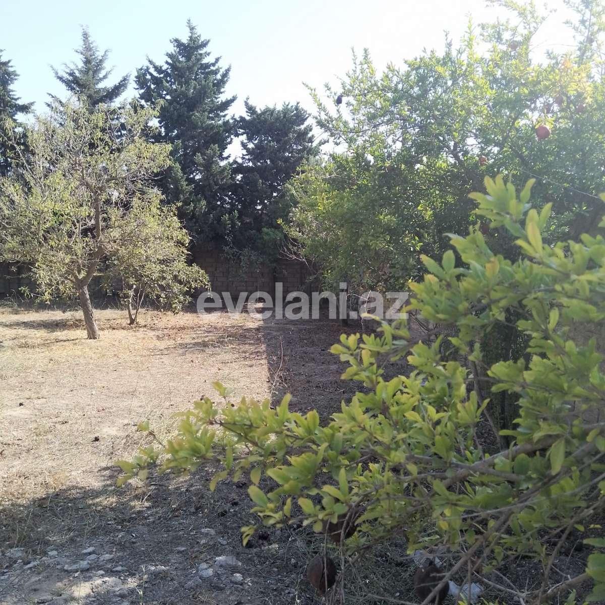 Satılır, torpaq, 10 sot, Bakı, Xəzər r, Buzovna q.