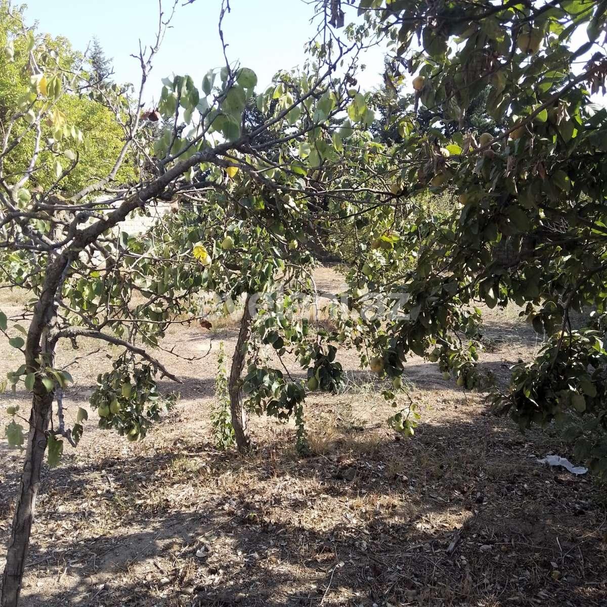 Satılır, torpaq, 10 sot, Bakı, Xəzər r, Buzovna q.