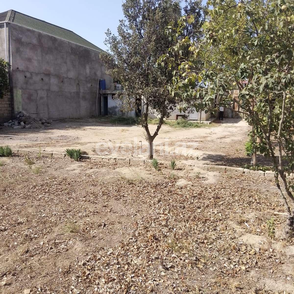 Satılır, torpaq, 10 sot, Bakı, Xəzər r, Buzovna q.