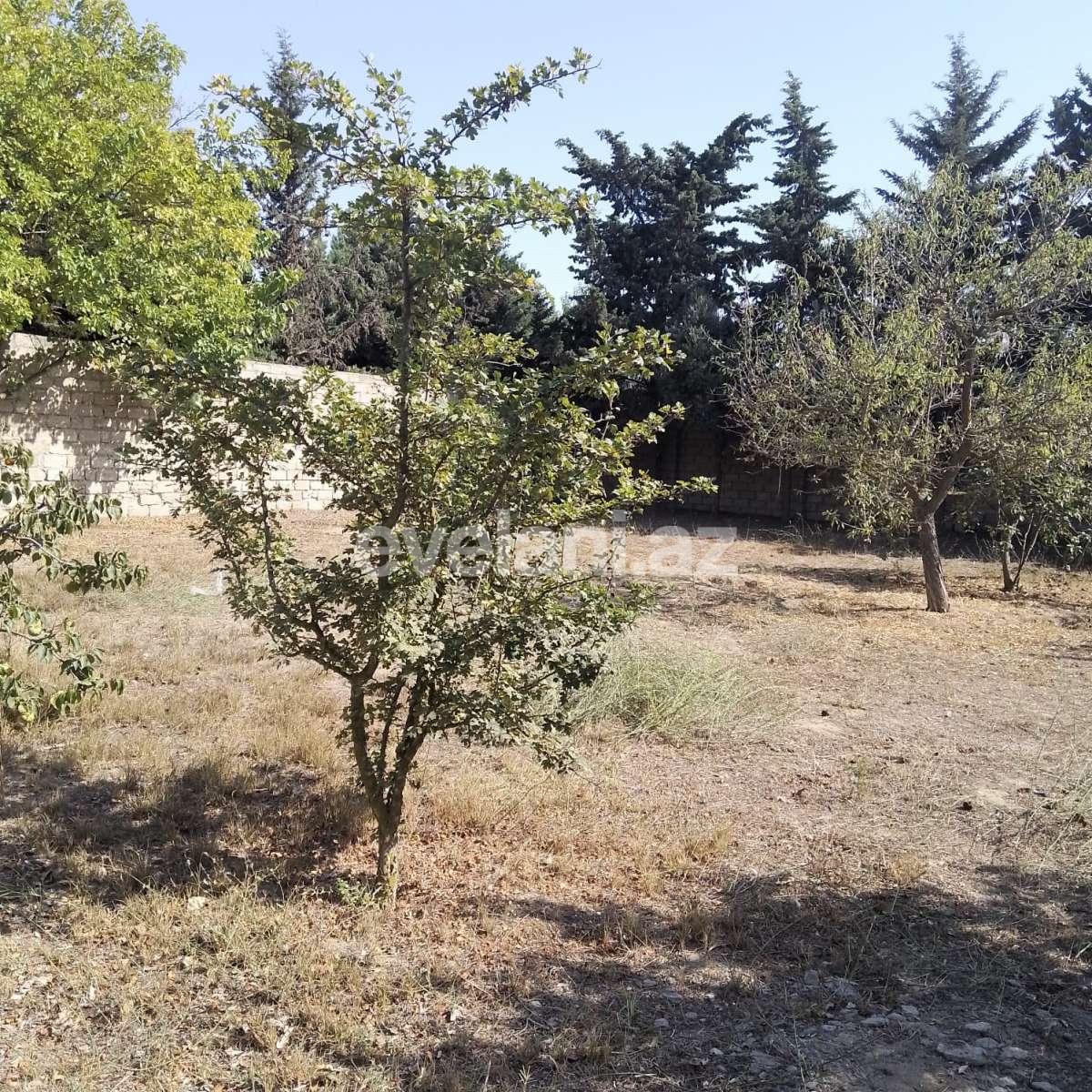 Satılır, torpaq, 10 sot, Bakı, Xəzər r, Buzovna q.