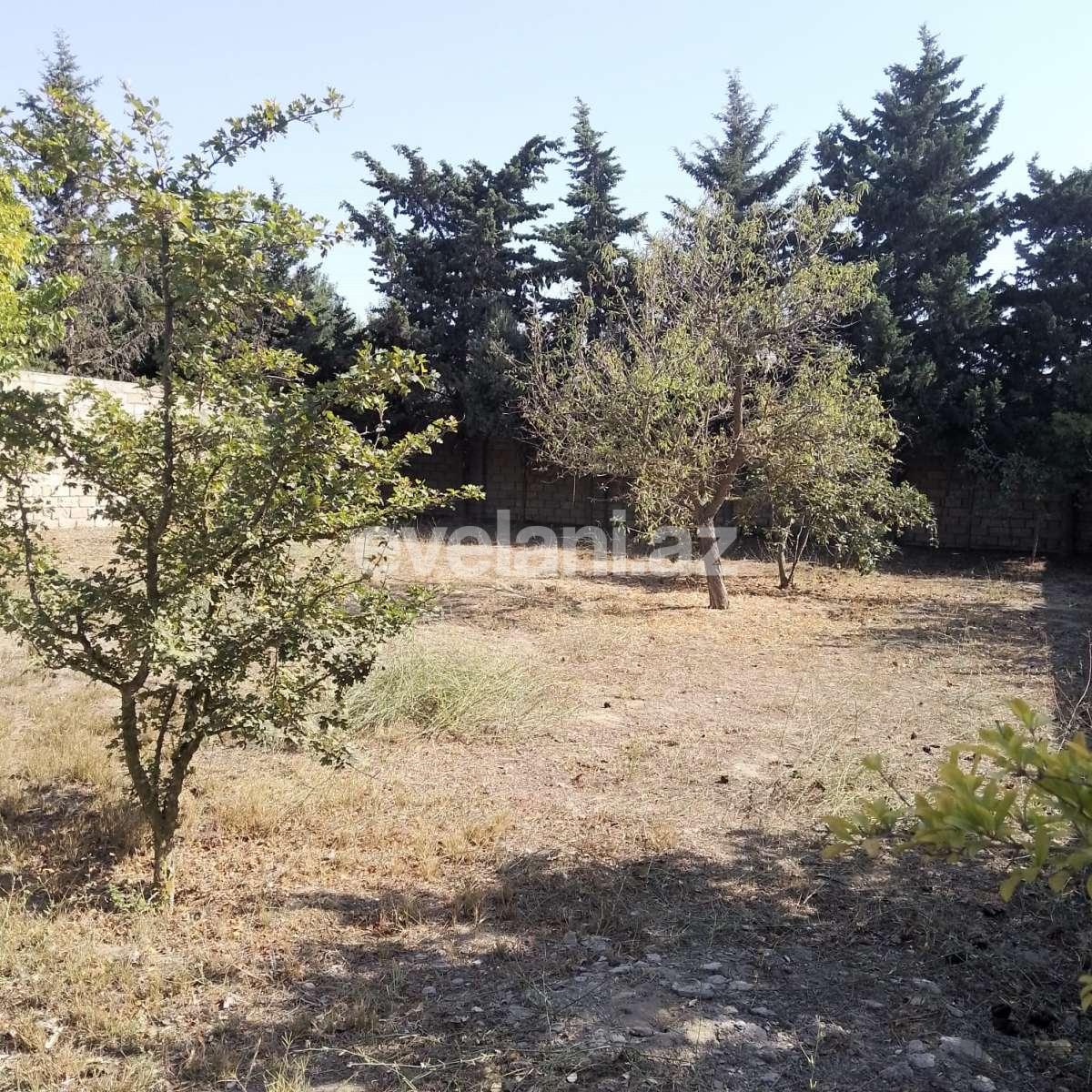 Satılır, torpaq, 10 sot, Bakı, Xəzər r, Buzovna q.