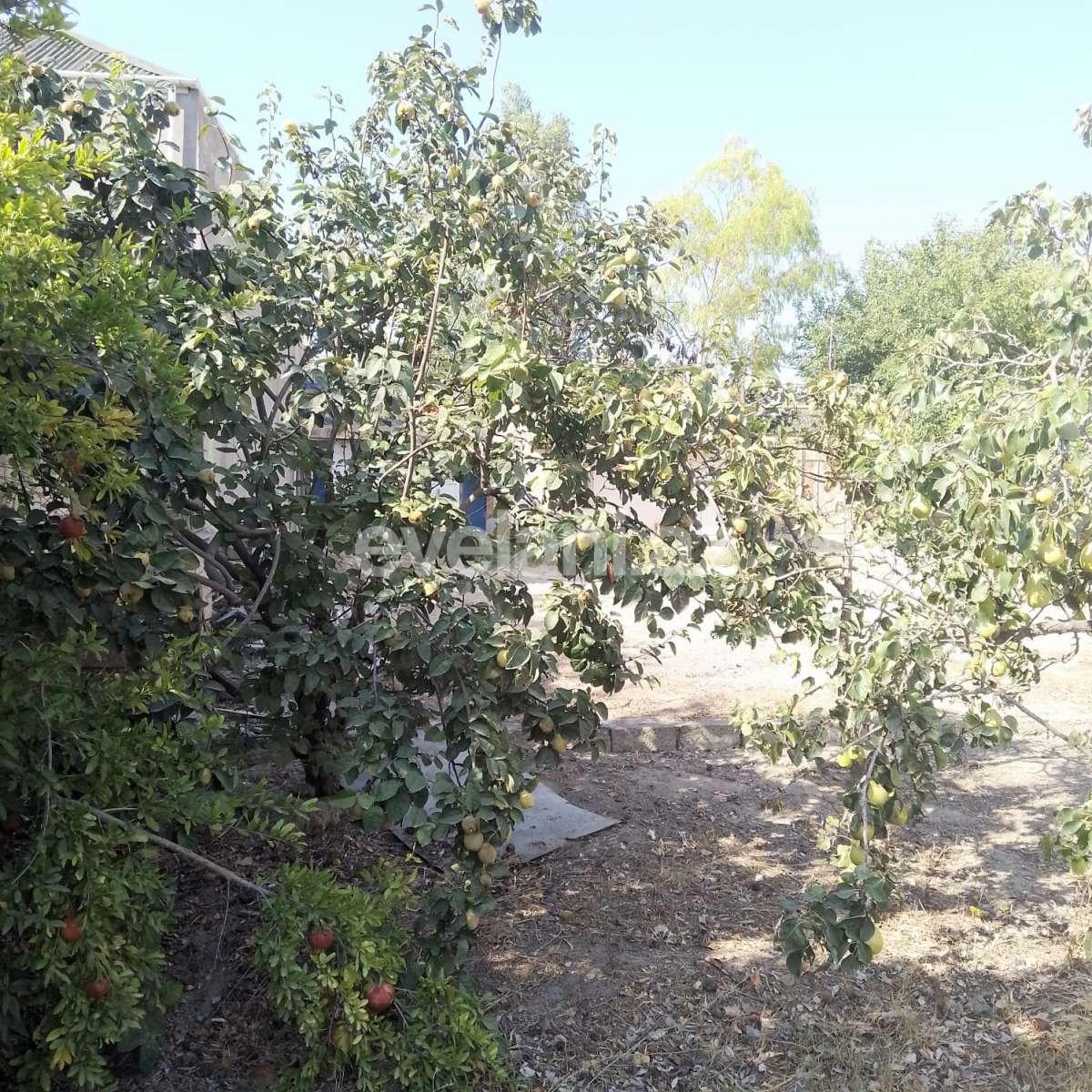 Satılır, torpaq, 10 sot, Bakı, Xəzər r, Buzovna q.