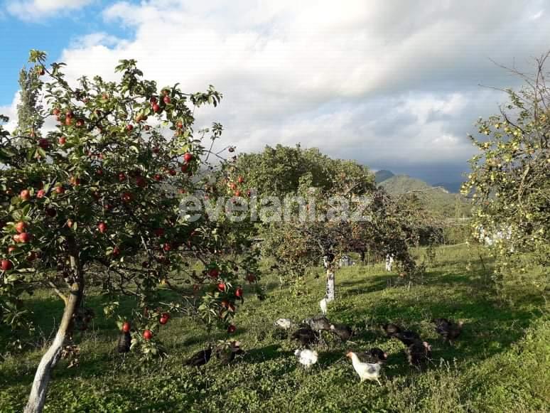 Satılır, həyət evi / bağ, 4 otaqlı, 108 m², İsmayıllı