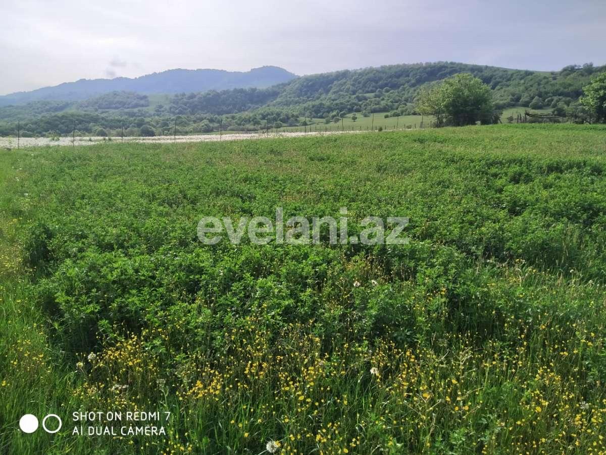 Satılır, torpaq, 29 sot, Qusar