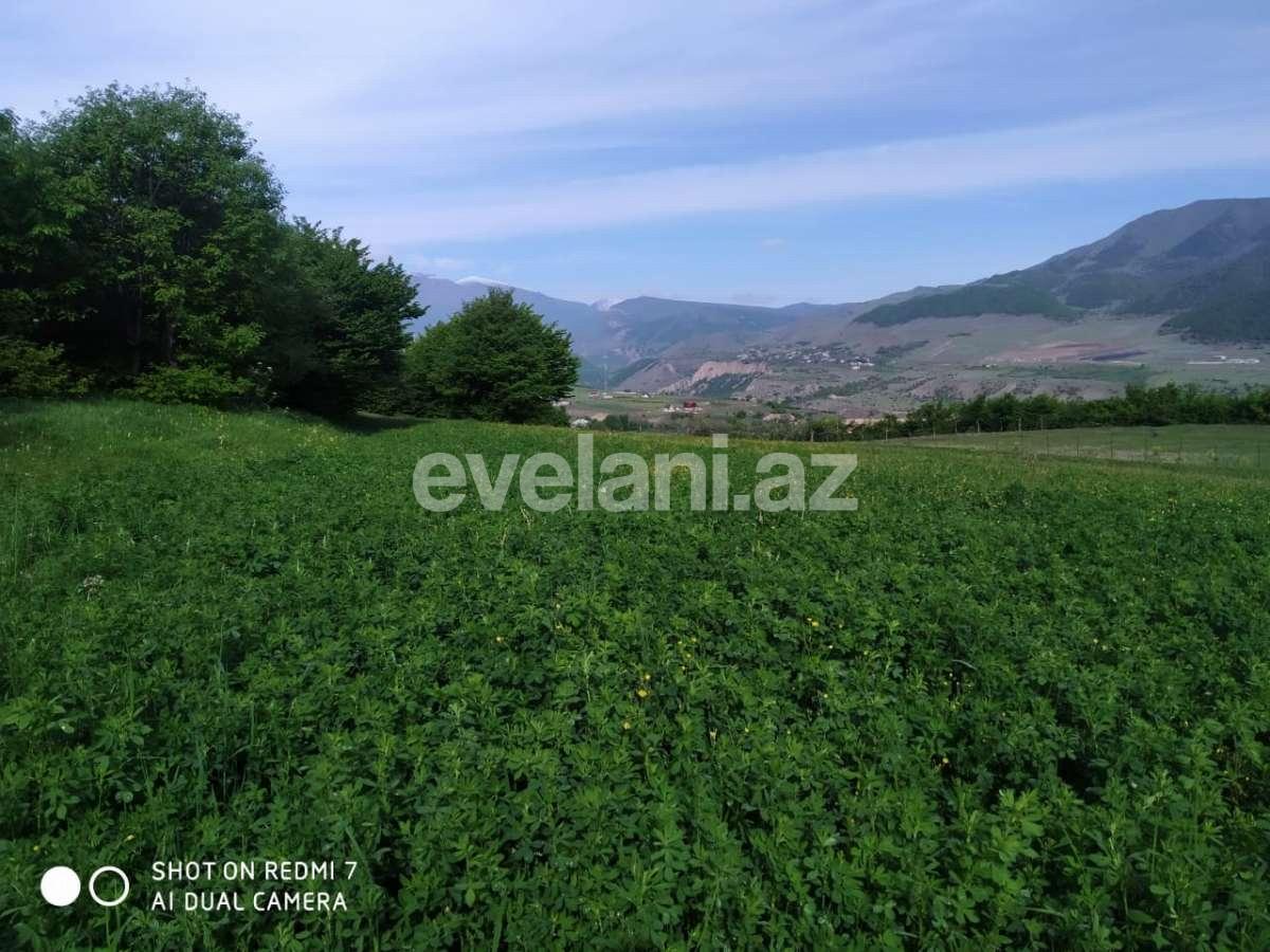 Satılır, torpaq, 29 sot, Qusar