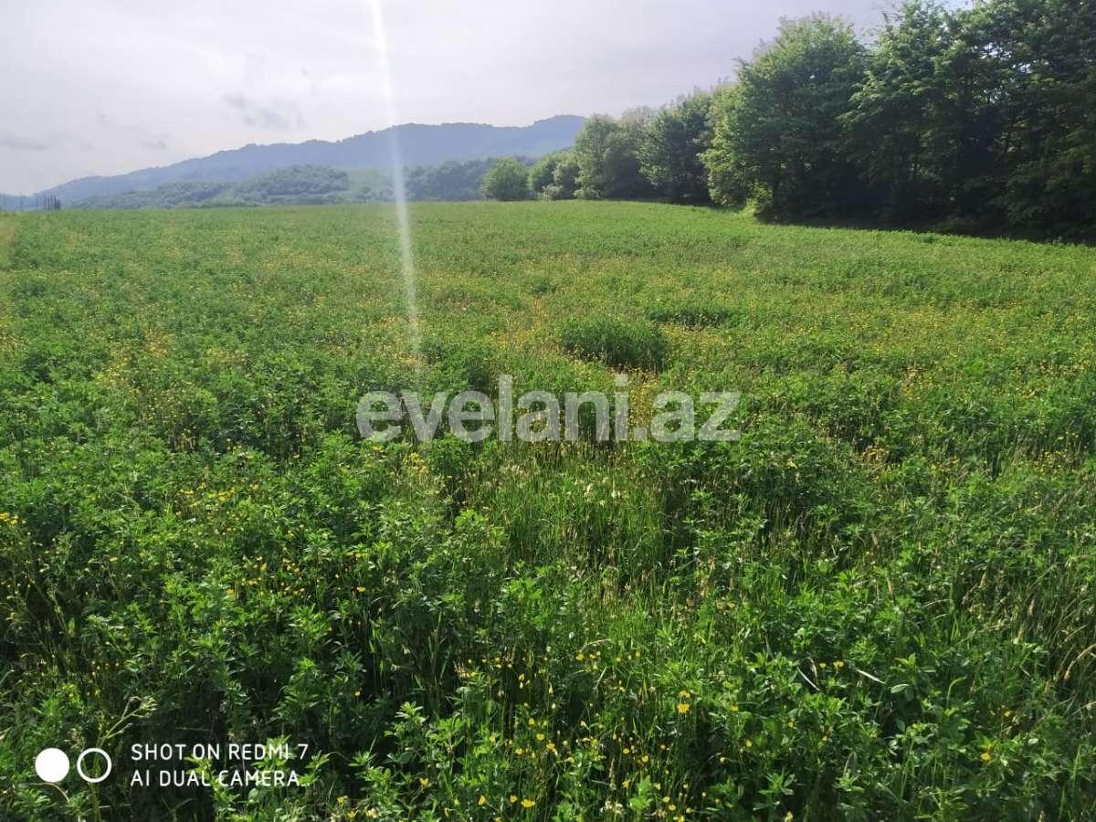 Satılır, torpaq, 29 sot, Qusar