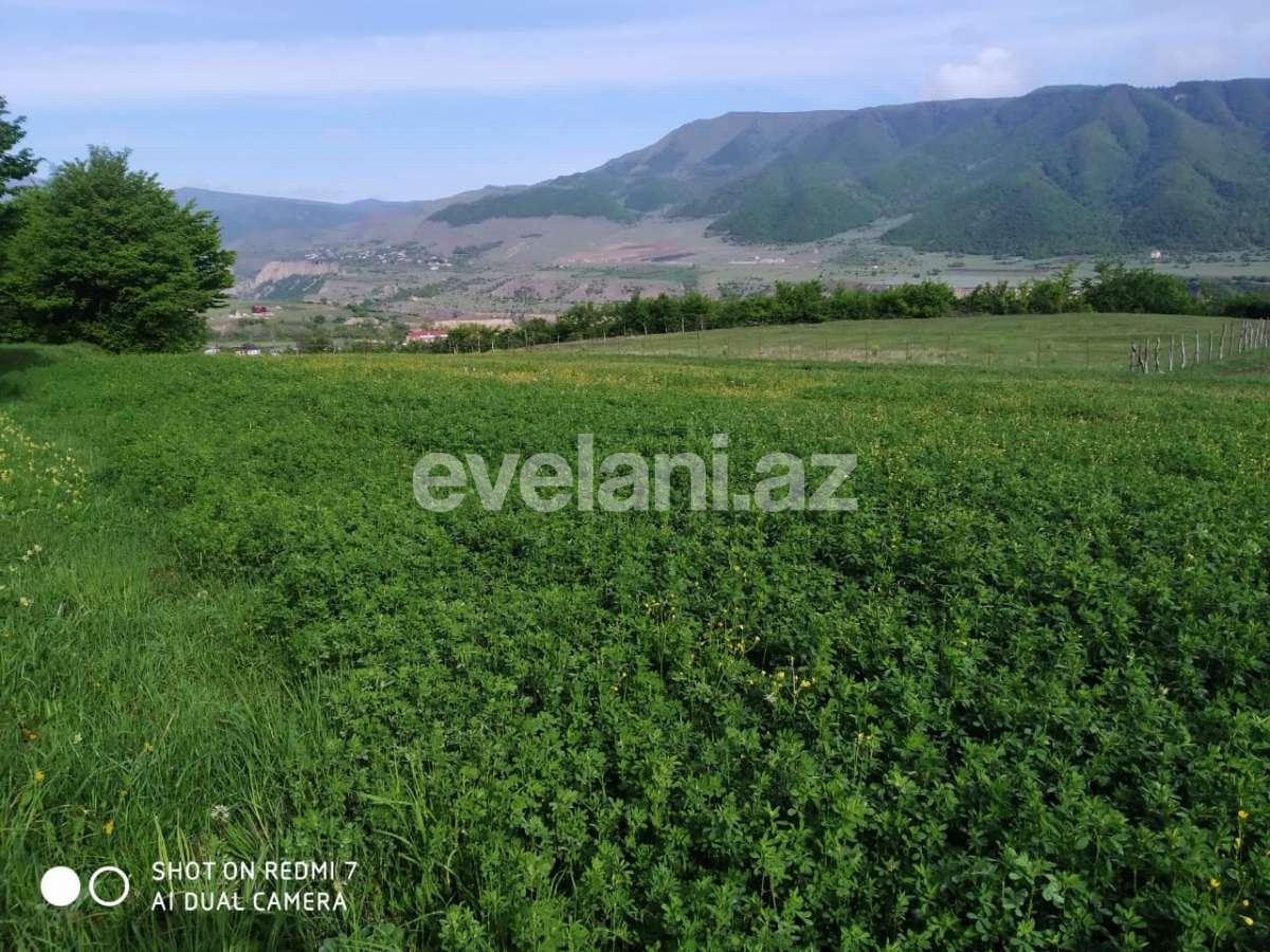 Satılır, torpaq, 29 sot, Qusar